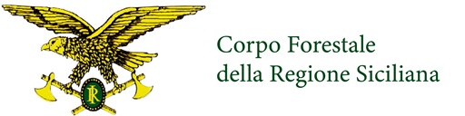 Logo-CFRS